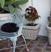 Sharon Karpinski - Facebook