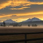 Sharon Karr - @aroundsisters - Instagram