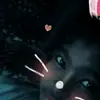sharon karra - @sharon_karr - TikTok