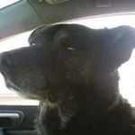 Sharon Kaufman - @sharon.kaufman.1217 - Instagram