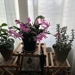 Sharon Kaufman - Facebook
