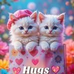 Sharon Kaufman - Facebook