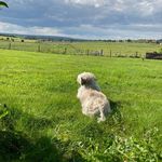 Sharon Kavanagh - @sharon_kavanagh1 - Instagram
