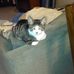 Sharon Kavanagh - Facebook
