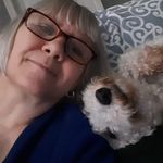 Sharon Kaye - @sharonkaye2014 - Instagram