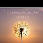 Sharon Cordes-Kearns - @wildrosesharon - Instagram