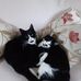 Sharon Kearns - Facebook