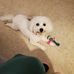 Sharon Kearns - Facebook