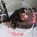 Sharon Kearns - Facebook