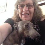 Sharon Kearns - @sharkey2owls - Instagram