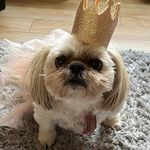 Sharon Kearns Till - @sharonkearnstill - Instagram
