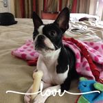 Sharon Keaton - @keaton1383 - Instagram
