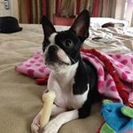 Sharon Keaton - @keaton.sharon - Instagram