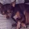 Sharon Keaton - @sharon.keaton - TikTok