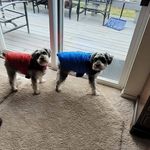 Sharon Keaton - @sharon.keaton.75 - Instagram