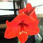 Sharon Kellar Potashner - @sharonpotashner - Instagram