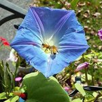 Sharon Kempf - @shimmysharme - Instagram
