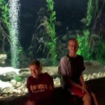 Sharon Kempf Blanke - @kempfblanke - Instagram