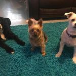 Sharon Kendrick - @sharonmedley52 - Instagram
