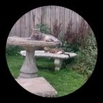 Sharon Kenyon - @sharon.kenyon.92 - Instagram