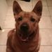 Sharon Kercher - Facebook