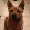sharonkercher - @sharonkercher - TikTok