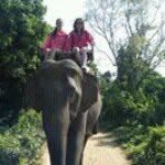 Sharon Ackerley - @sharonackerley - Instagram