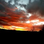Sharon Kerley - @sharon.kerley1 - Instagram