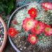 Sharon Keyser - Facebook