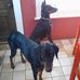 Sharon Keyser - Facebook