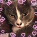 Sharon Keyser Schulte - Facebook