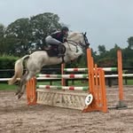@sharon_kielyshowjumping - Instagram