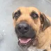 Sharon Kilpatrick - @sharon.kilpatrick2 - TikTok