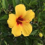 Sharon Kilpatrick Sproule - @sharonsproule - Instagram