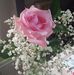 Sharon Kime - Facebook