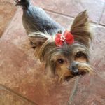 Sharon Kincaid - @sharon_kincaid - Instagram