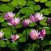 Sharon Kindell - Facebook