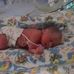 Sharon Kinnear - Facebook
