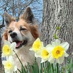 Sharon Kiser - @sharonkiser785 - Instagram