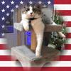 sharonkiserwieringa - @sharonkiserwieringa - TikTok