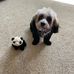 Sharon Kittelson - Facebook