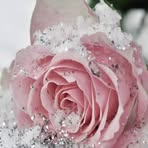 Sharon Klar - Facebook