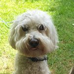 Sharon Kleiman - @sharonkleiman99 - Instagram