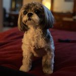 Sharon Knecht Rowe - @bst3rowe - Instagram