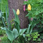 Sharon Knecht Zimmerman - @sharonzimm64 - Instagram