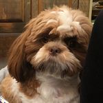 Sharon Knotts Pownall - @pownallsharon - Instagram