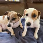 Sharon Koehler - @sharonkoehler10 - Instagram