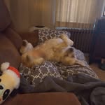 Sharon Koehler - @sharonkoehler27 - Instagram