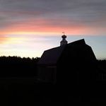 Sharon Koehler Plucar - @sharonkoehlerplucar - Instagram