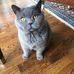 Sharon Kohn - Facebook